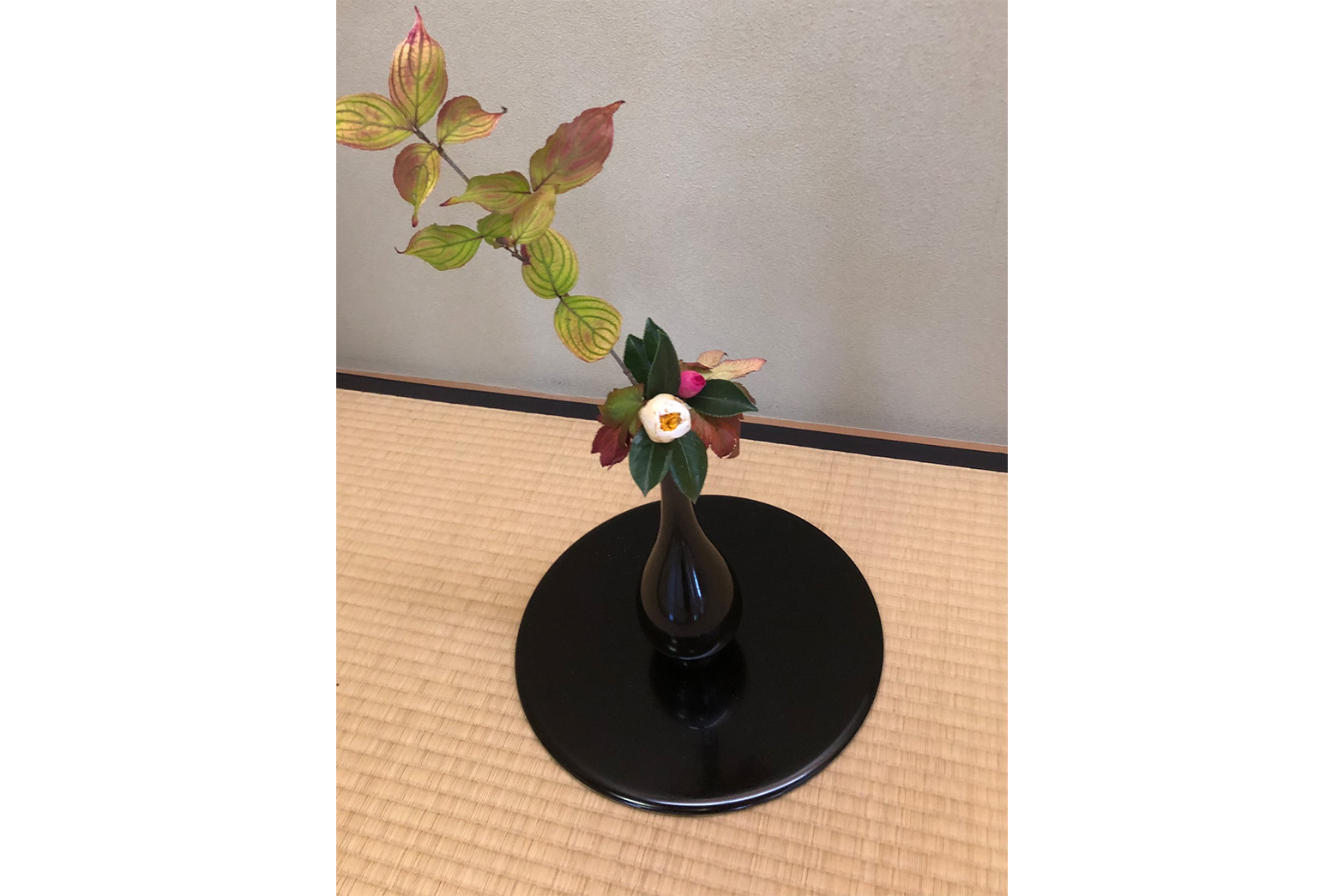教室概要